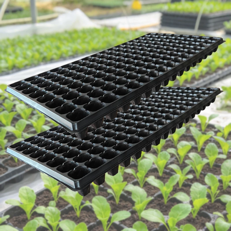 20-Piece Set of Black Seedling Trays (120g) – Plastic Trays for Germinating Seeds and Cultivating Fruits and Vegetables