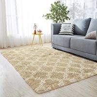 Thick Carpet for Living Room Plush Rug Children Bed Room Fluffy Floor Carpets Window Bedside Home Decor Rugs Soft Velvet Mat