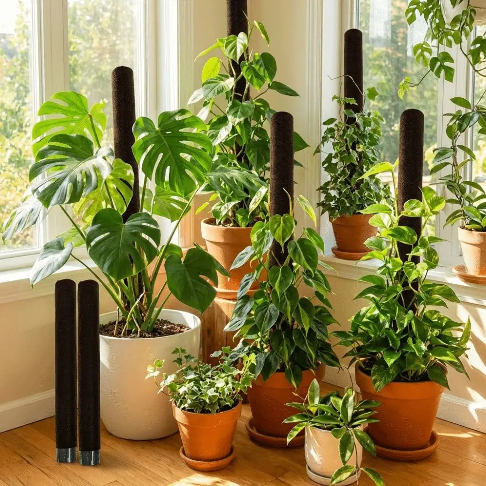 

Пластиковая подставка для вьющихся растений с вентилируемым чехлом, держатель для горшечных растений, защита от насекомых, герметичная верхняя часть, опорный кронштейн для растений