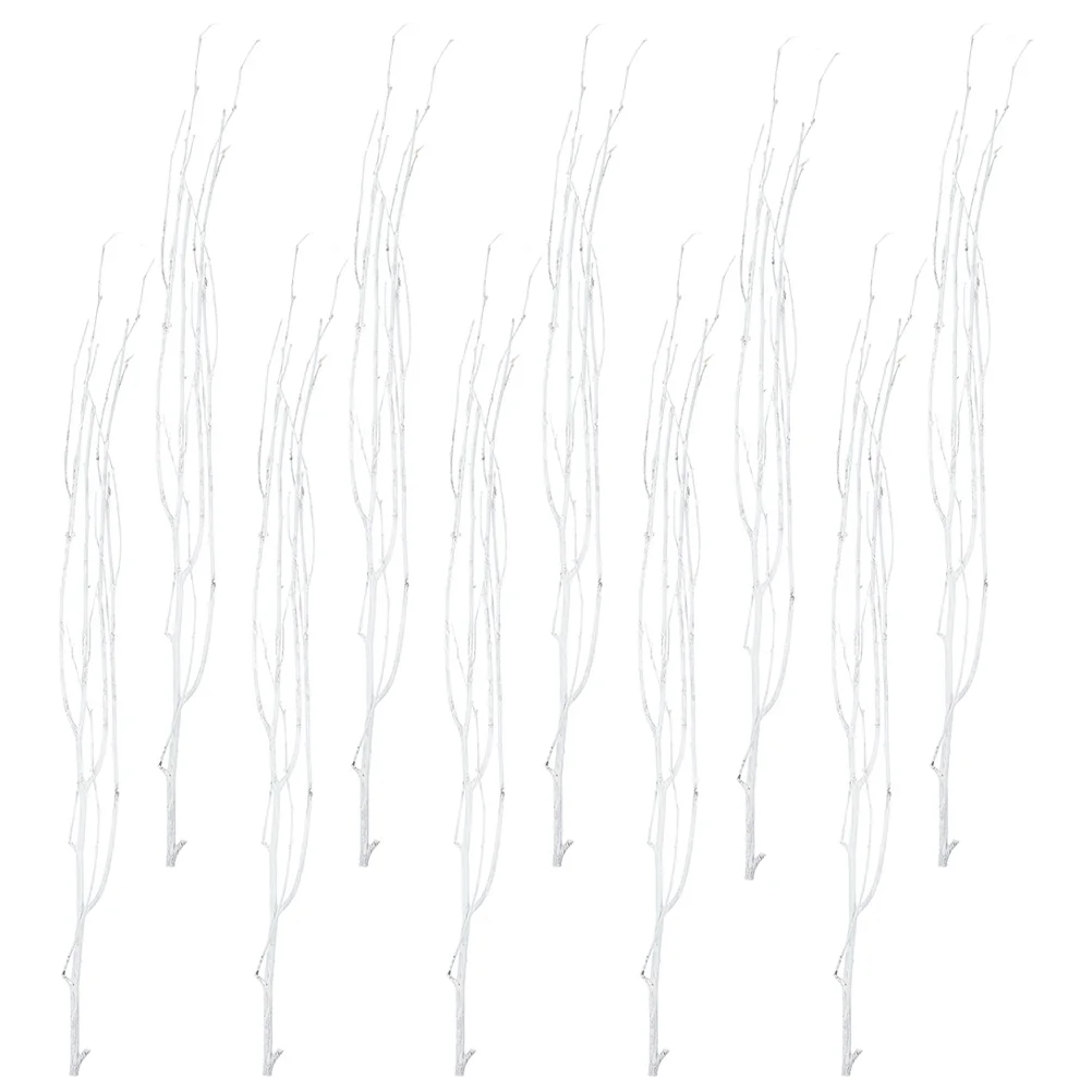 12 Stuks Natuurlijke Kleine Takjes Gedroogde Groen Takken Voor Diy Ambachten Housewarming Gift Thuis Keuken Decor Idee Gedroogde Takken