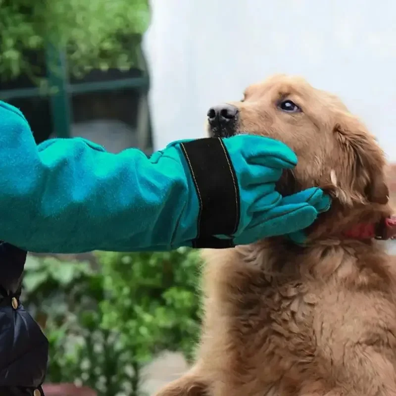 Anti-bijtveiligheidshandschoenen voor vangen Hond Kat Reptiel Dier Ultralange verdikte koeienhuid Huisdieren Grijpen Bijten Beschermende handschoen