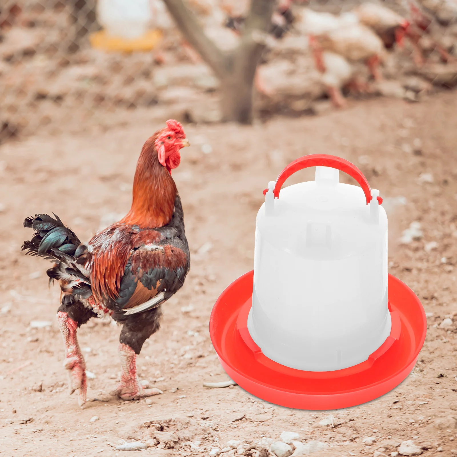 

Chick Feeder and Waterer Kit Chicken Waterers Poultry Automatic Food Drinker Pet Plastic Containers for