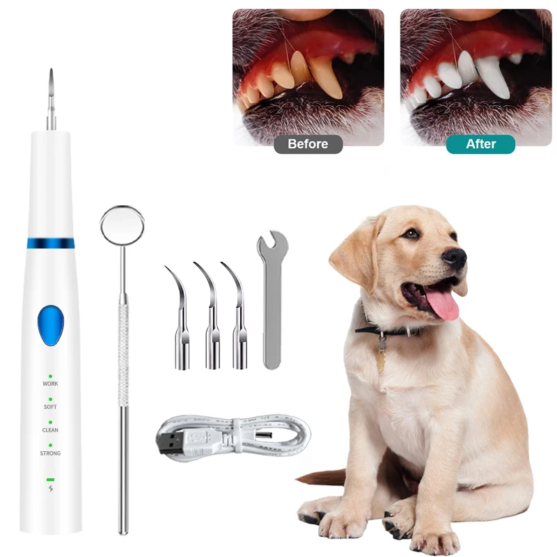 Pet Tooth Brushing Kit with LED Light   Tools to Remove Plaque and Tartar for Dog and Cat