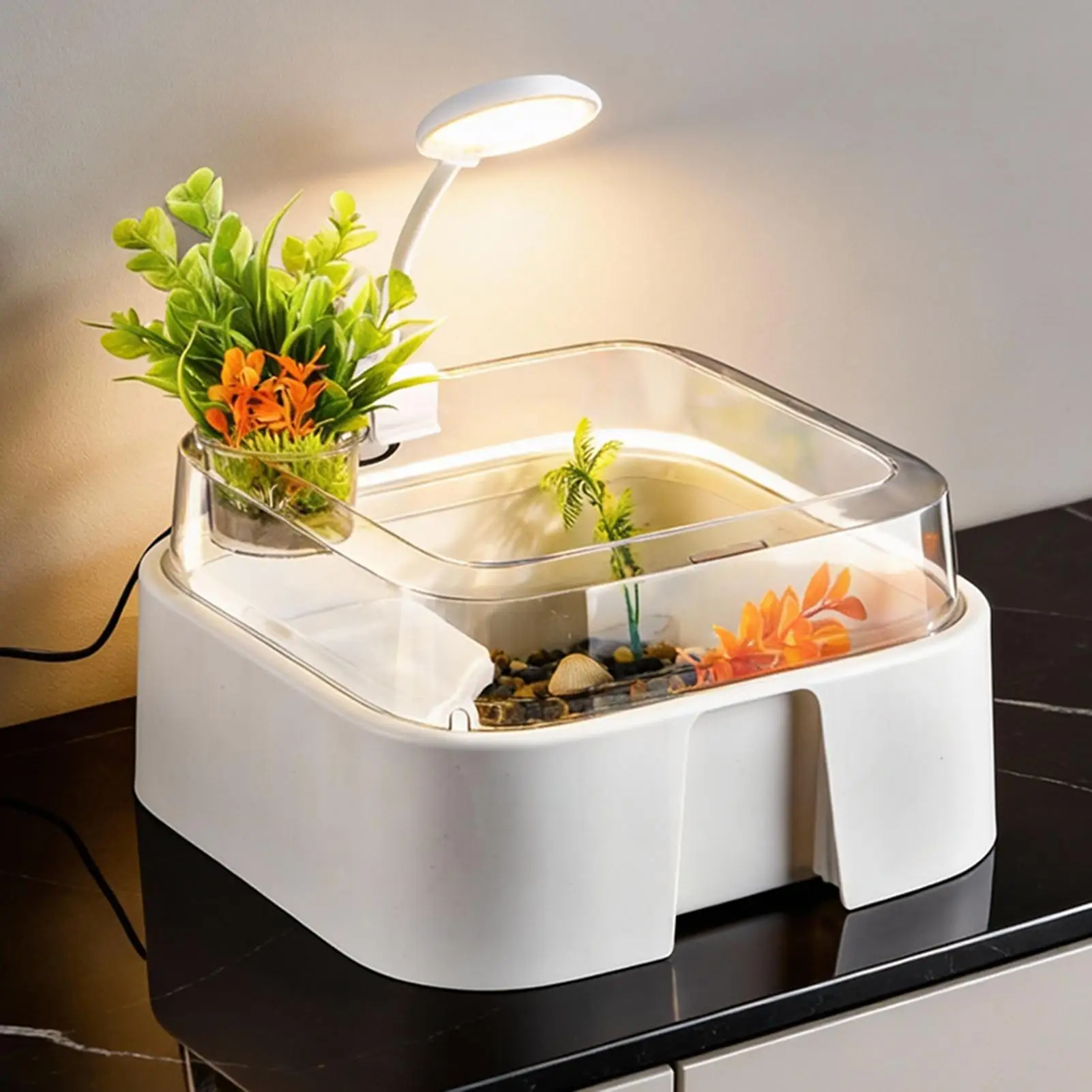 

Turtle Tank set with Basking Area Light Escape-Proof Reptile Terrarium Habitat for Pet Turtles Hermit Crabs Tortoise Adoption