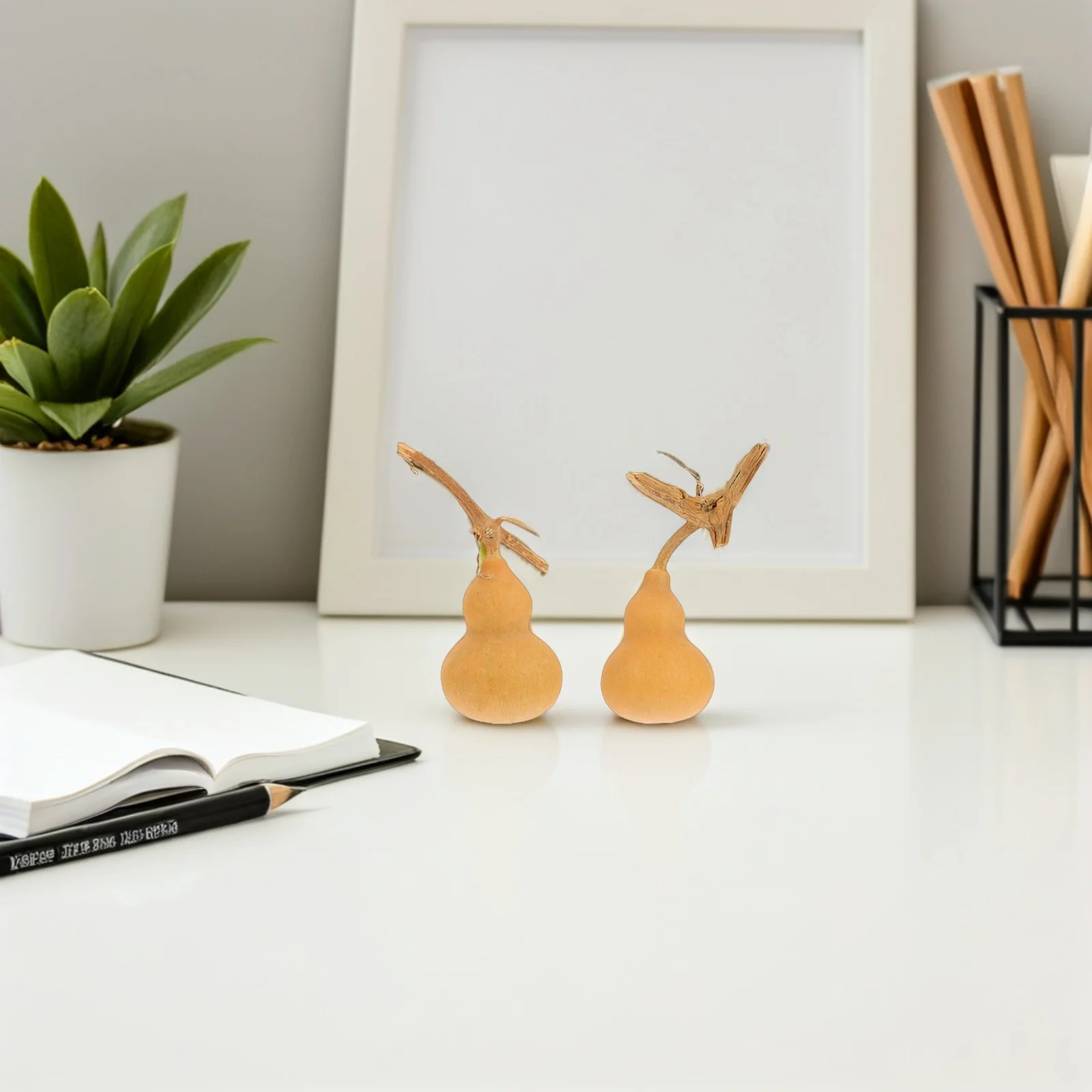 10 قطعة ديكورات فنون القرع الطبيعي الحلي لمكتب متجر مول ديكور مساحة صغيرة ديكور الحرفية الهدايا