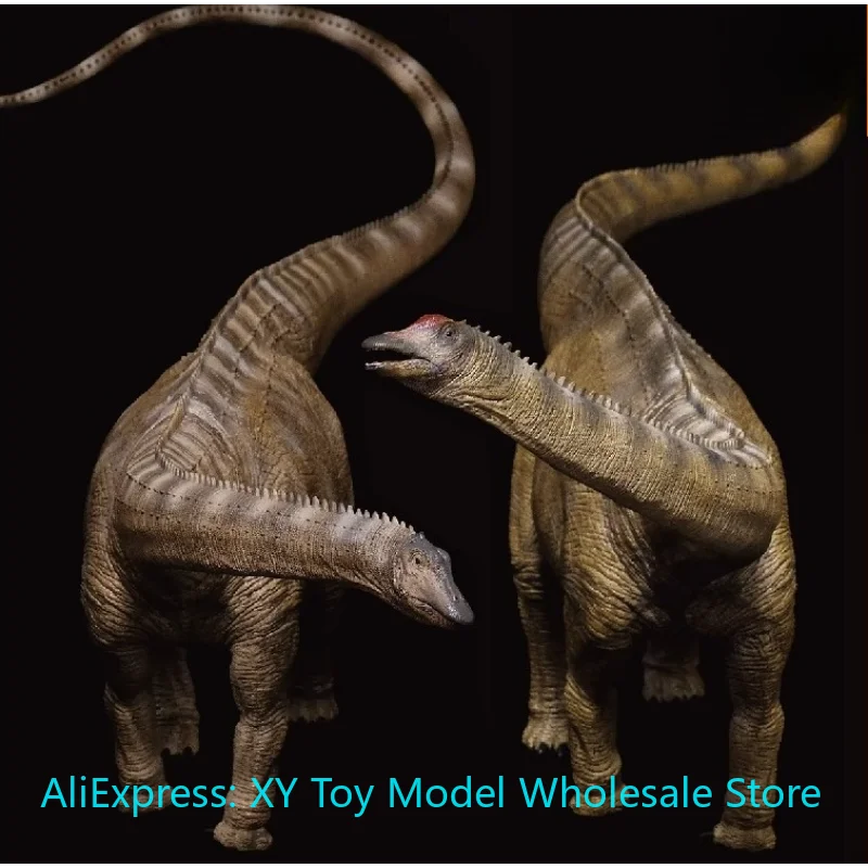 No mucho Stock Diplodocus dinosaurio Jurásico modelo Museo colección de juguetes ornamento colección de imágenes de cuerpo completo regalo