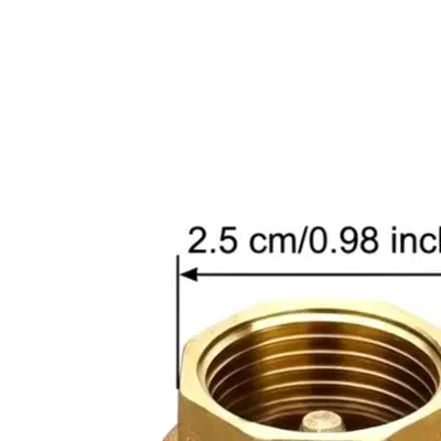 Cast Brass Check Valve 3/4 Inch for Long Term Use in Irrigation Pipelines Water For Pumps and Hydronic Circuits
