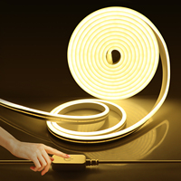 DC12V/24V EU Plug Neon LED Strip 1M 2M 3M 5M 10M Waterproof Dimmable Neon lamp tape for Indoor Outdoor Backlight Lighting