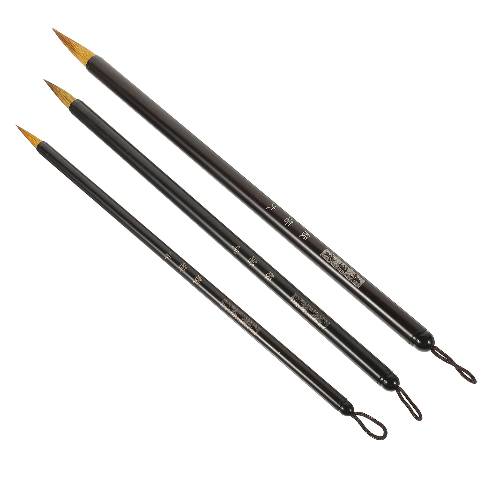 3Pcs Brush Pen Fine Tip Painting Brush Chinese Calligraphy Brush Portable Painting Brush for