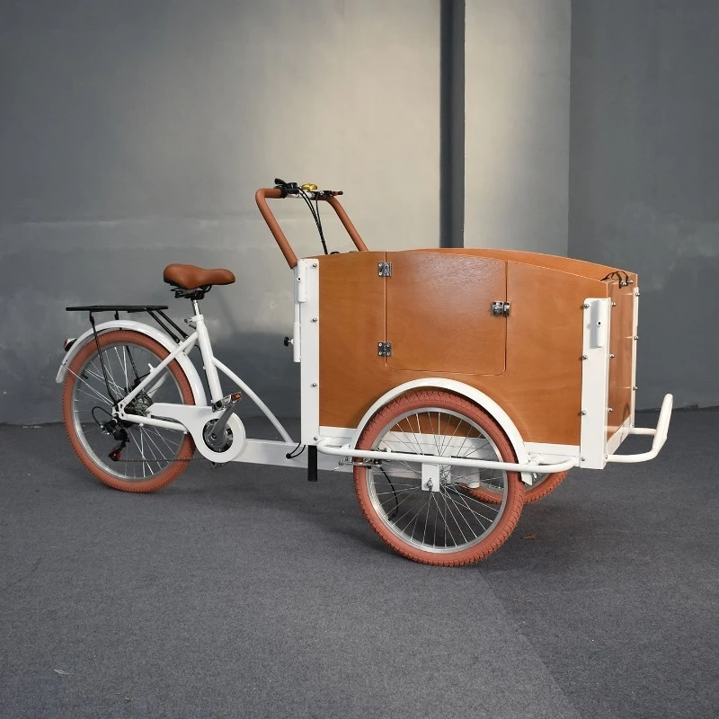 

Light-colored Wood Grain Parent-child Car European-style Manual Pick-up and Drop-off Baby Walking Upside Down Tricycle