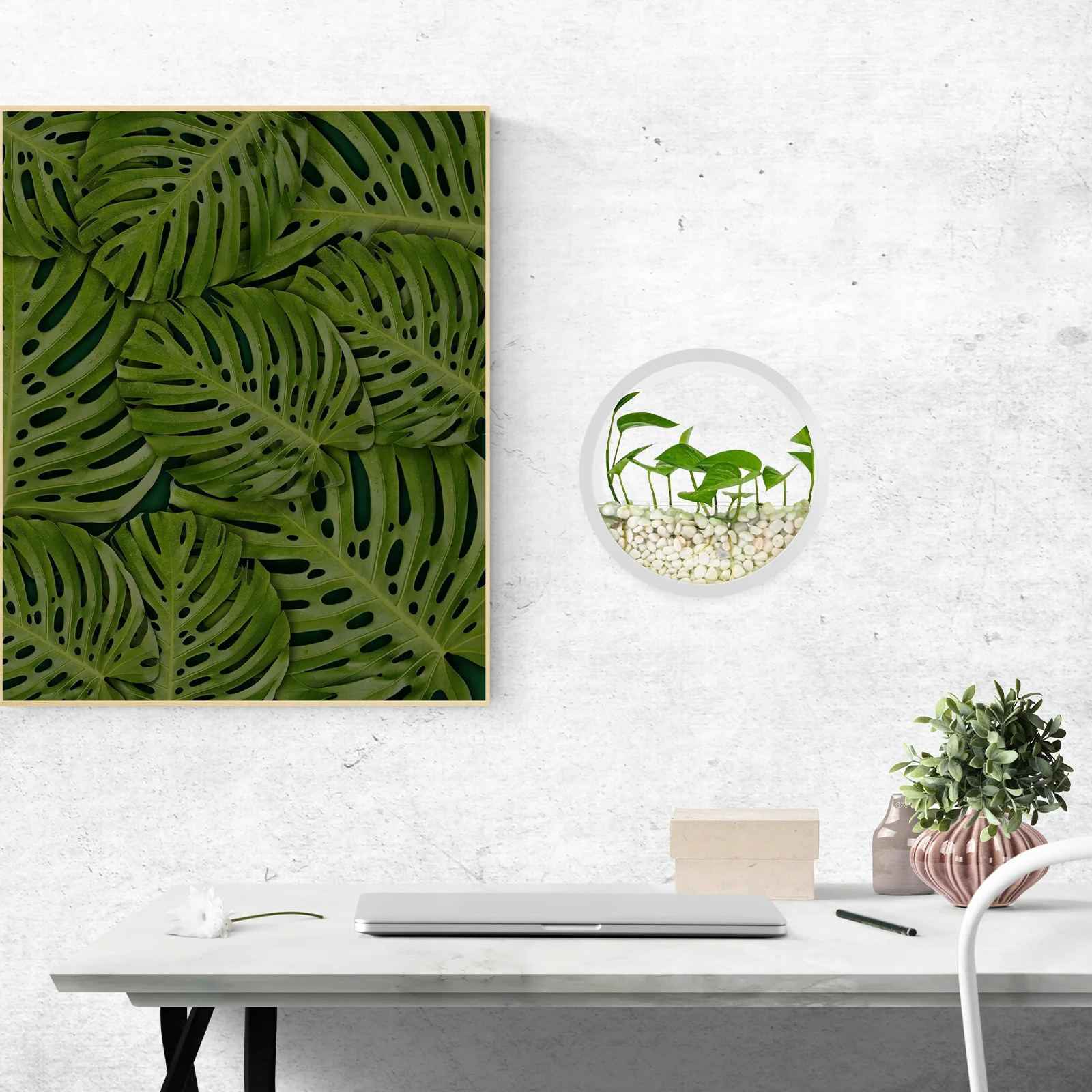 

Vertical Hanging Wall Planter Clear Hydroponic Container Minimalist Aesthetic Design for Indoor Plants Balcony