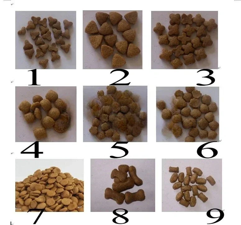 

Floating Fish Feed Pellet Extruder Mill Feed Granule Making Machine For Fish Small Electric Floating Fish Feed Extruder Machine