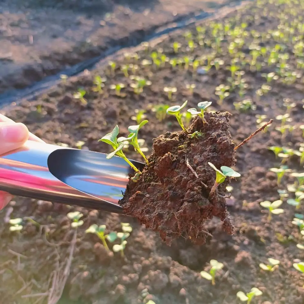 Imagem -03 - Ferramenta de Balde de Jardinagem de Fertilizante de Dragagem de Bonsai Multifuncional Colher de Plantação pá de Carne de Transplante Aço Inoxidável