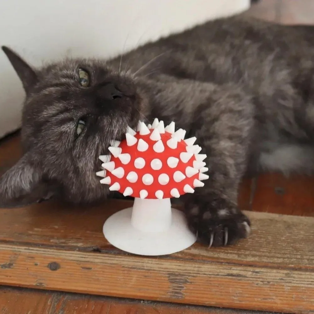 Mushroom Shaped Self Grooming Cat Brush Suction Cup 3D Printed Cat Scratching Itchy Device Wear Resistant Massage Comb Pet Spa
