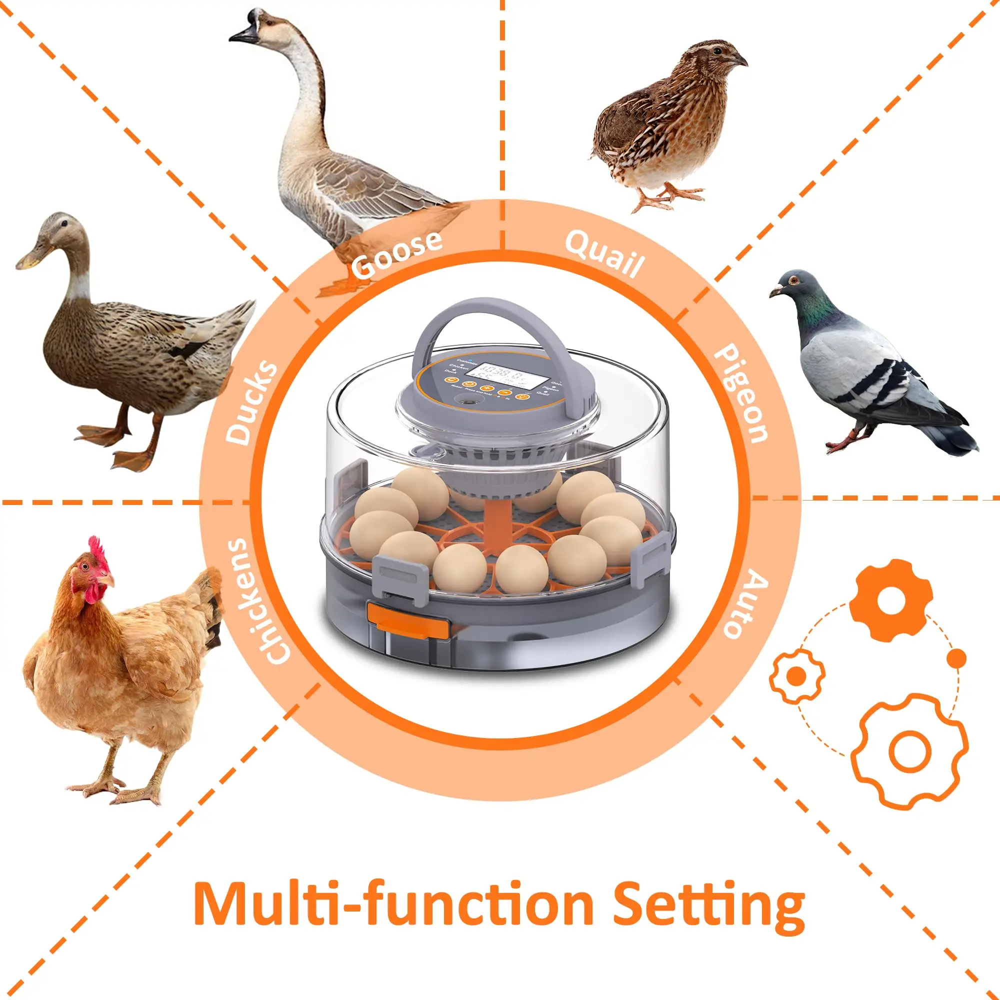 Incubators for Hatching Eggs, 12 Chicken Incubator with Automatic Egg Turning and Humidity Control, for Quail, Chickens, Duck