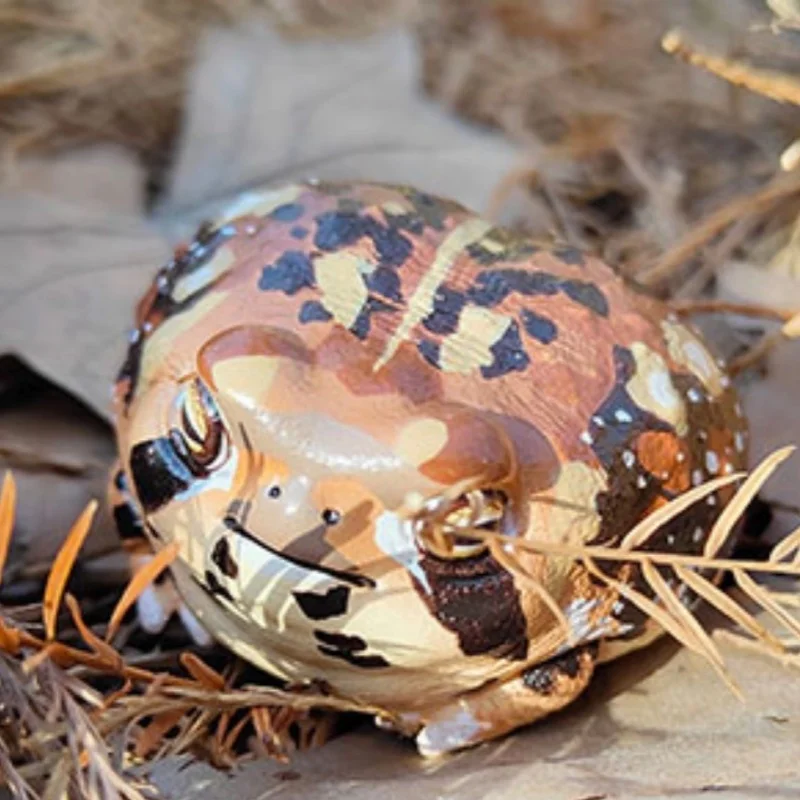 Best-seller! [Em estoque] Série oficial Animal Planet 'Chubby & Happy' # 13 - Modelo de sapo |   Figura e decoração colecionáveis premium