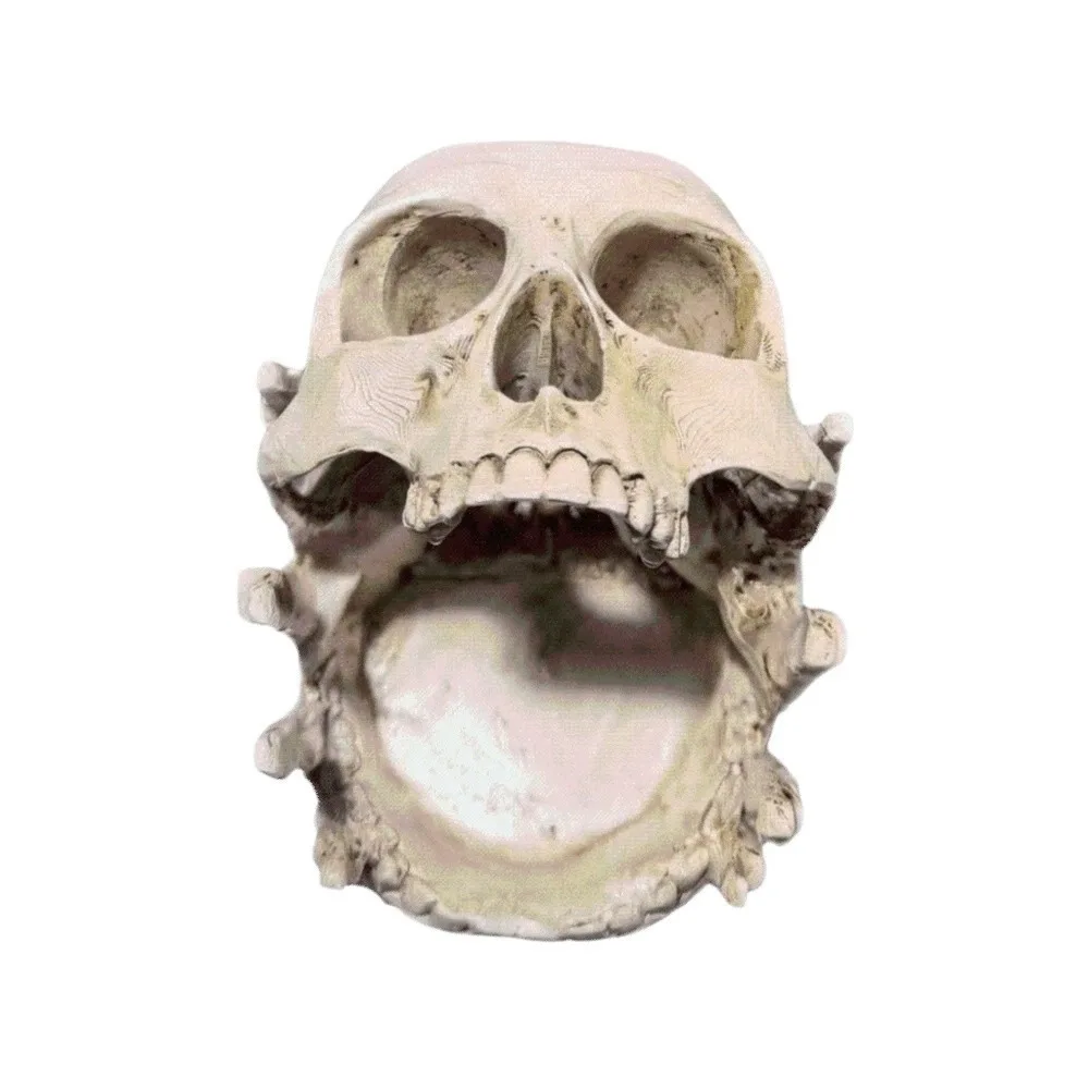 Resin Skeleton Head Jewelry Holder Multifunctional Handcrafted Gothic Skull Key Holder Sturdy Textured Halloween Resin Craft