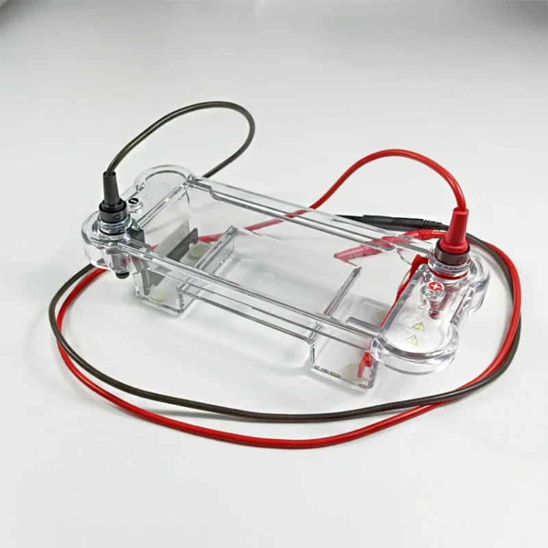 Electrophoresis Ful… - image
