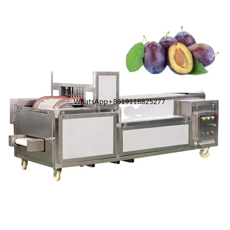 Industriële Pitter Fresh Lychee Cherry Core Remover Coring Machine Litchi Pitting Machine