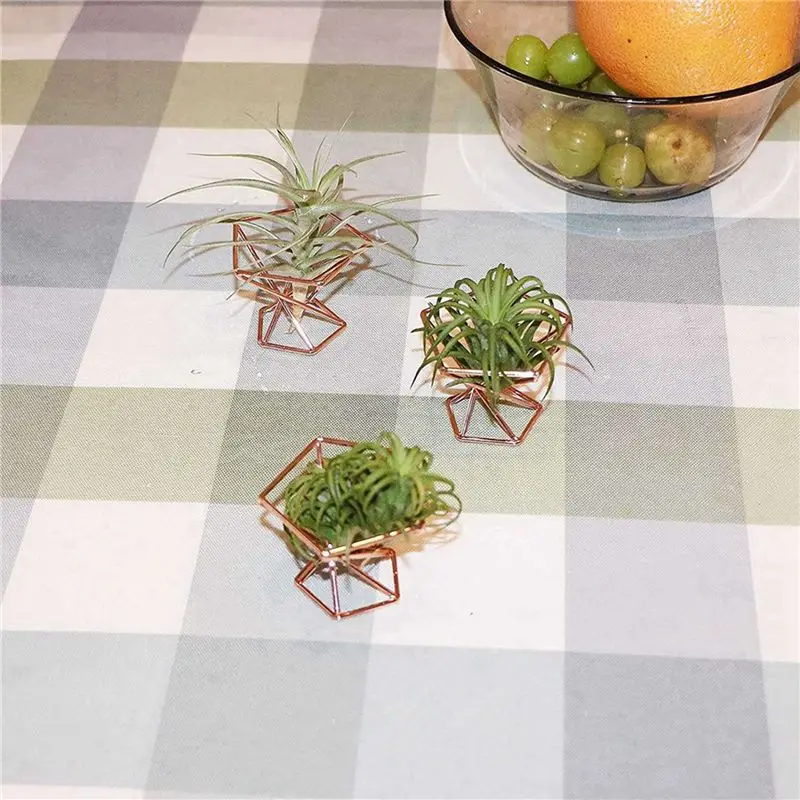 ABRE-Pack 20 حامل نباتات هوائية حامل نباتات الهواء Tillandsias عرض حاوية نباتية لتنقية الهواء حامل السرخس الهوائي، ذهبي وردي #4