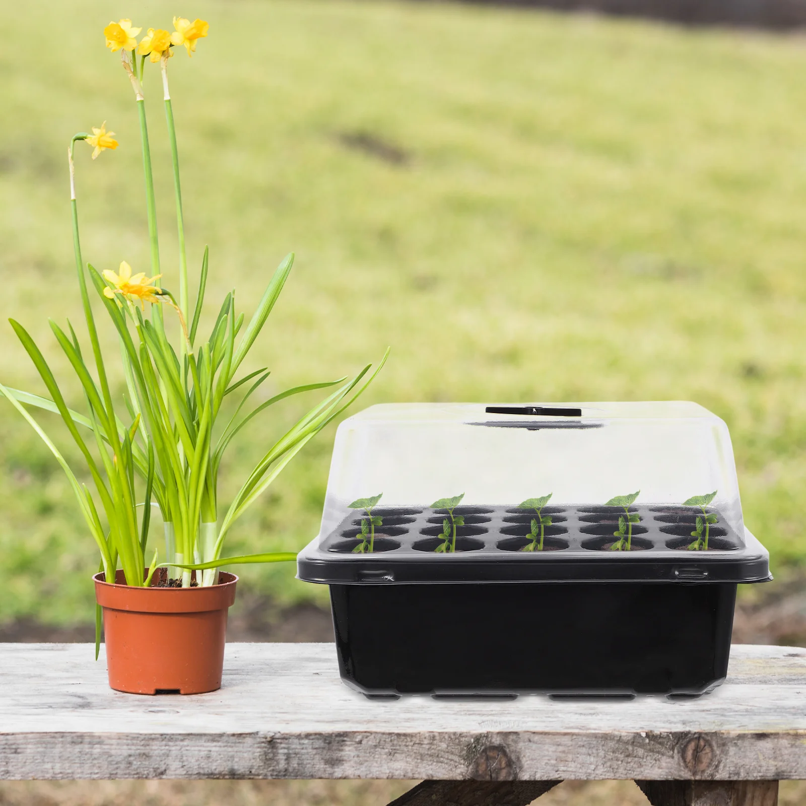 

1Set Germination Starter Tray 20-Cell Plastic Planter Tray for Indoor Seed Sprouts Growing Nursery Box Garden Supplies