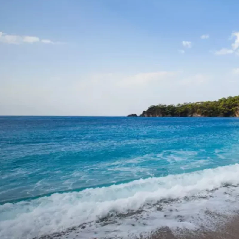 WP-1181P Pro Digital Servo - عزم دوران 18 جم، 3.5 كجم، معدات معدنية، لسيارات WLtoys 144001/WPL RC (B1/16، B24، C14، C24) #1