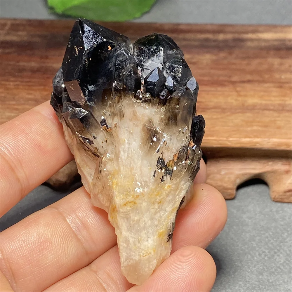 100% Natural Brazilian Black Crystal Pineapple Crystal Cluster Ore Specimen Home Decoration