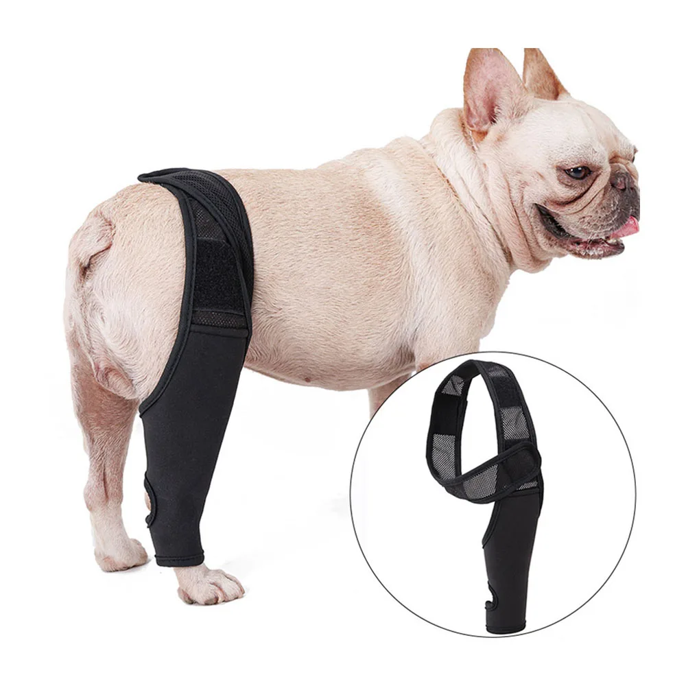 

Dog Leg Fracture Fixed Guard Pet Front And Rear Leg Brace Auxiliary Belt Dog Knee Brace Joint Injury Protection Set