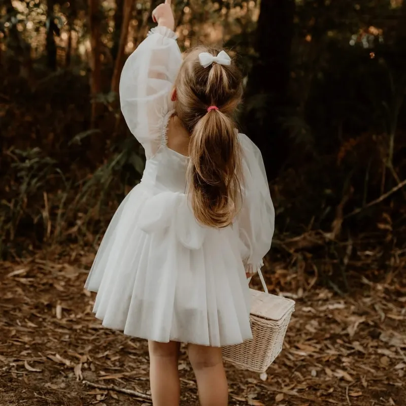 Baby Girl Princess Mesh Tutu Dress White Infant Toddler Child Long Sleeve Tulle Vestido Wedding Birthday Party Baby Clothes 2-6Y