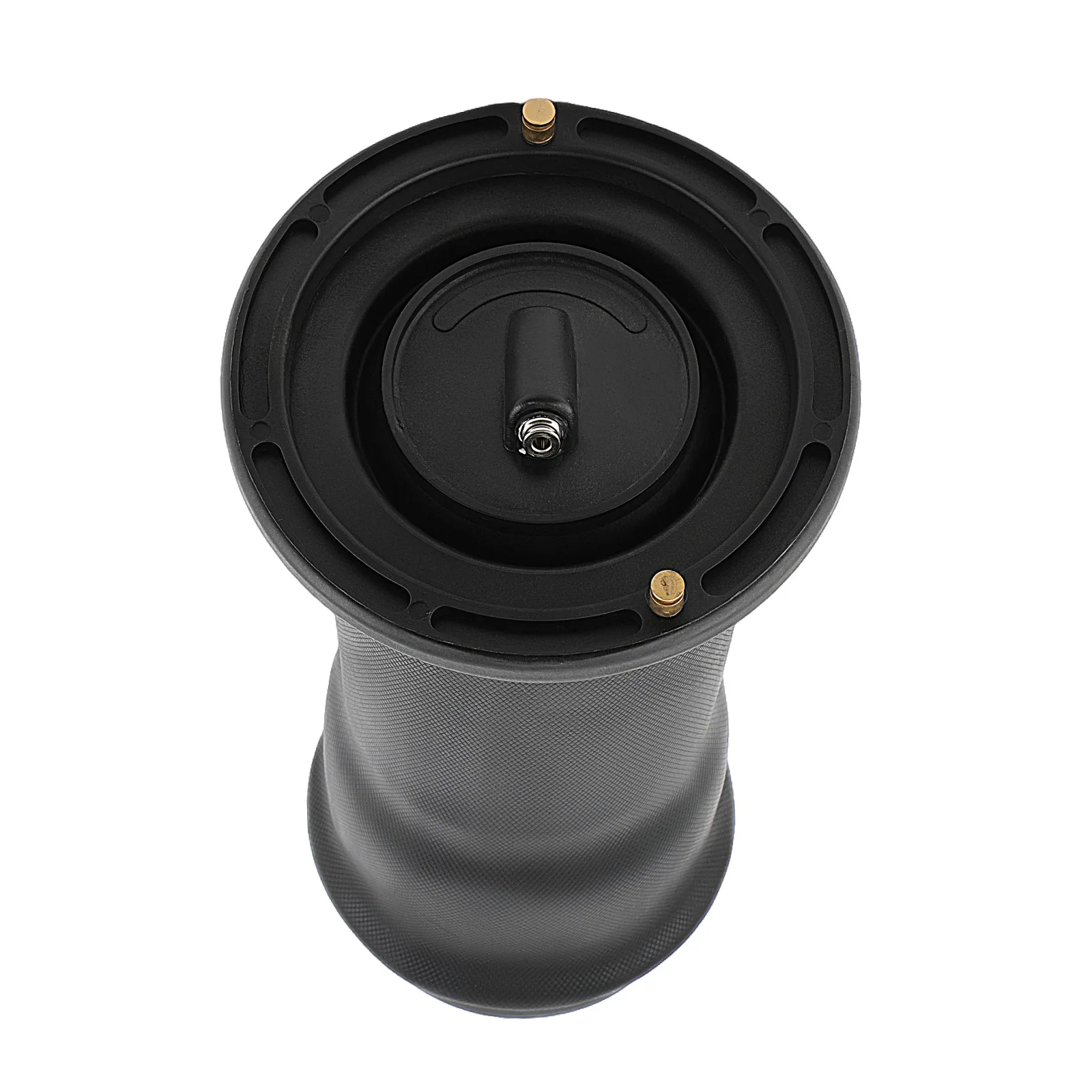 Mola de Ar Traseira L/R para Land Rover Discovery II Série II Sd