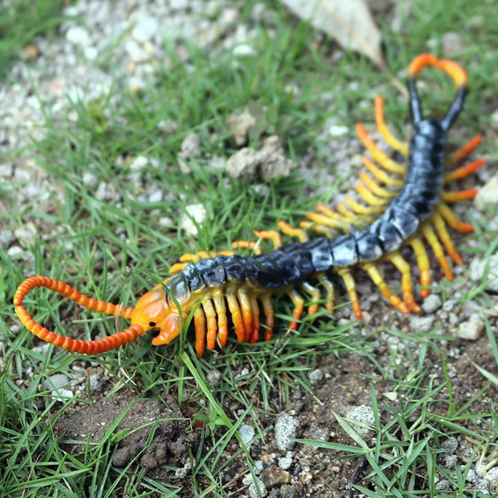 

Childrens Toys Fake Scolopendra Model Artificial Centipedes Party Prank Favors Simulated