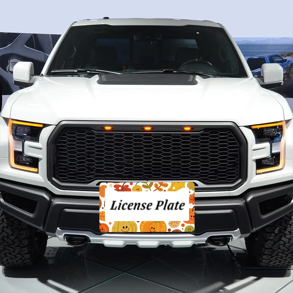 1 قطعة اليقطين البرتقالي والأوراق نمط 2 حفرة إطار لوحة الترخيص ، مادة الألومنيوم ، 6x12 بوصة مع مجموعة المسمار ، متعة الكرتون دي