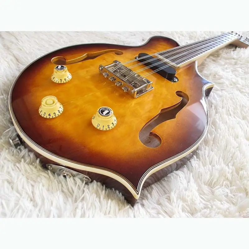 Electroacoustic mandolin, electroacoustic mandolin
