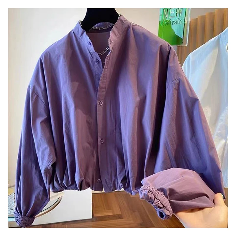 2024 new niche design high-end purple shirt women\'s early autumn loose casual long sleeved top  blouse women