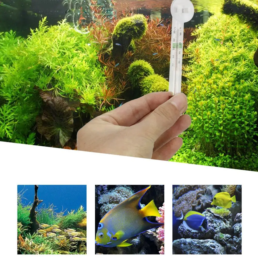 Digitales schwimmendes Aquarium-Vertikalthermometer mit Saugnapf, Wasser-Mini-Aquarium-Glas, Anti-Drop-Temperaturmessgerät
