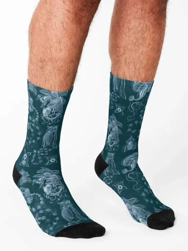 Ernst Haeckel - Siphonophorae Socks Novelties funny sock Stockings fashionable Designer Man Socks Women's