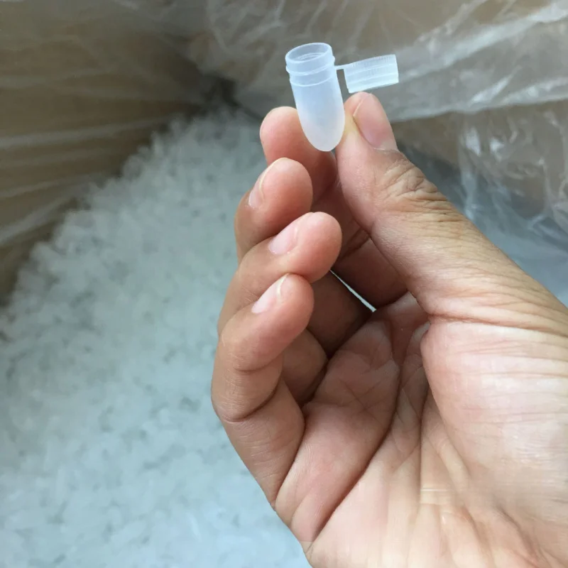 Small Capsule Shell Transparent with Lid Shell Suppository Flip Lid Empty Plastic Box