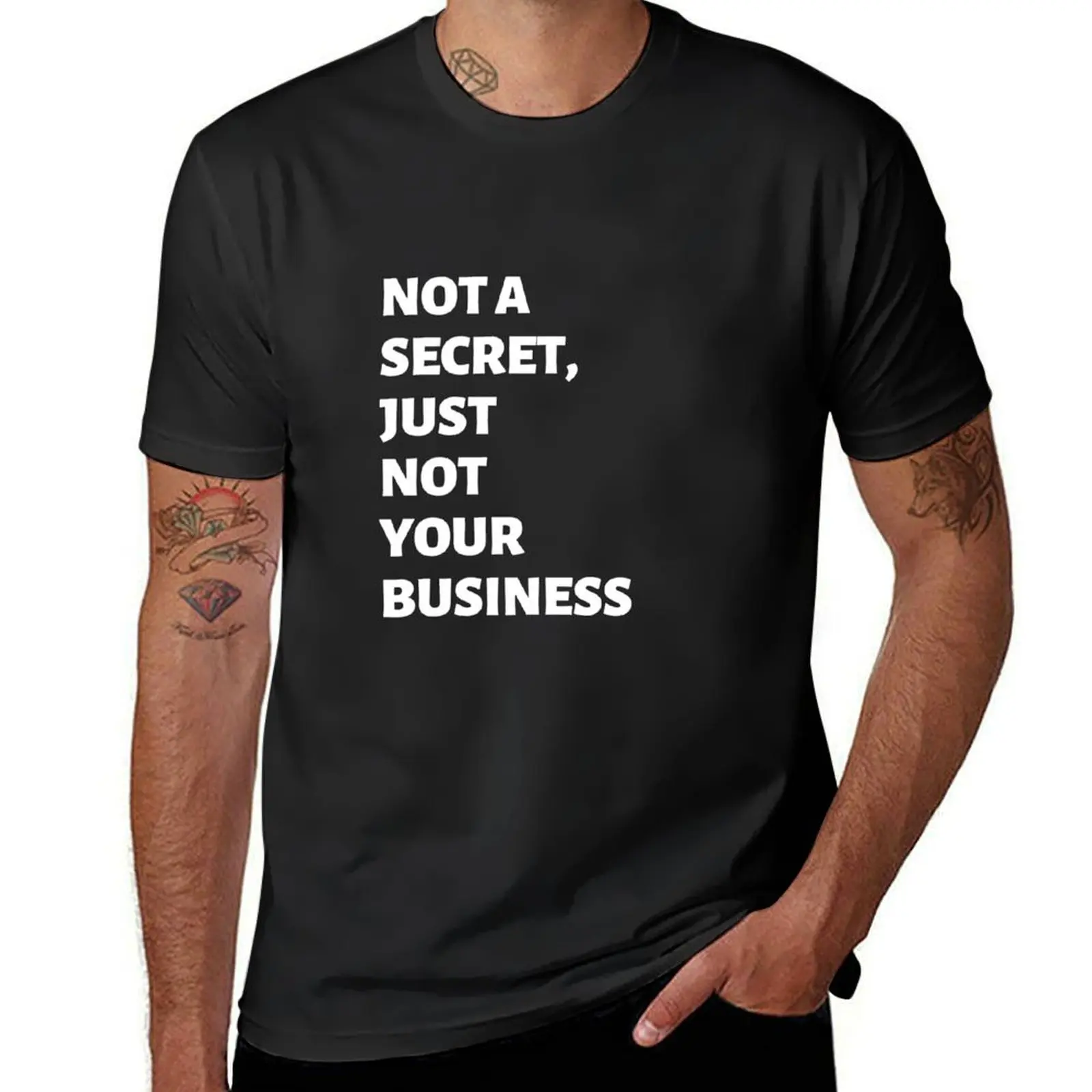 Not a secret just not your business T-Shirt plus sizes Aesthetic clothing for a boy slim fit t shirts for men