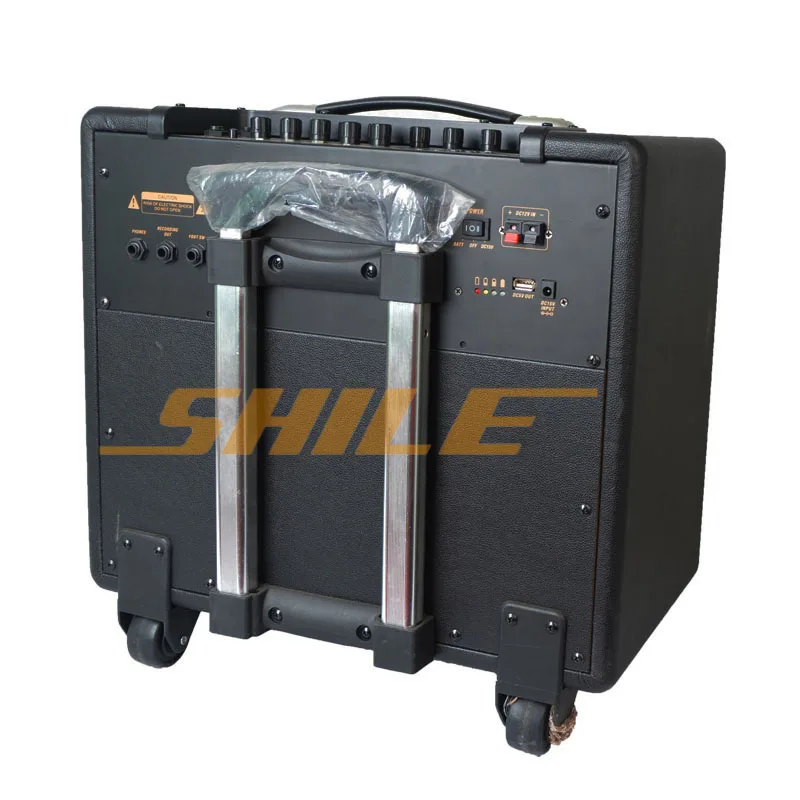 10inch 50W China Hot Sell Guitar Tube Amplifier Digital Guitar Sound System Active Speaker