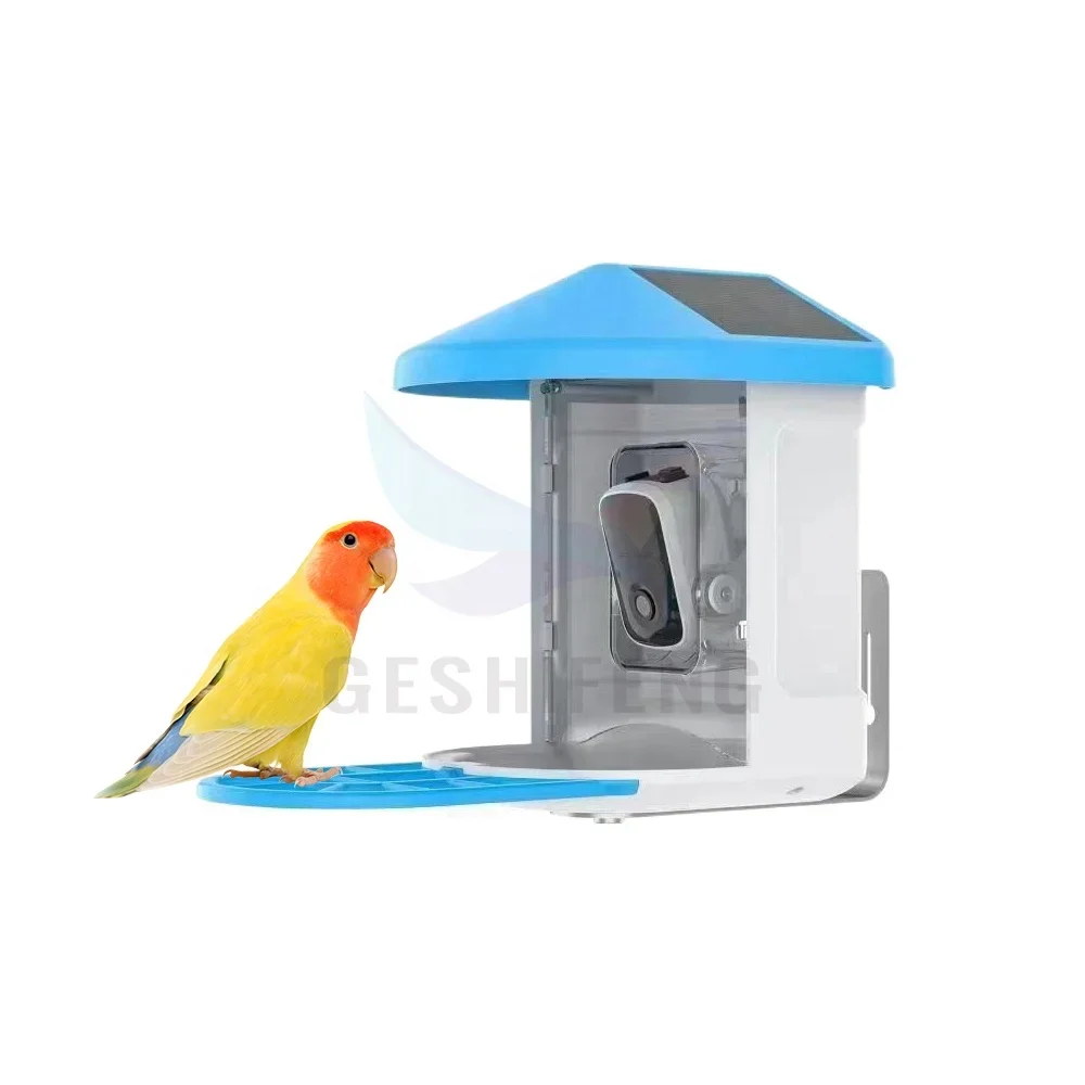 2024 New Launched Bird Outdoor Smart Feeder With WiFi 1080P Video 2L Capacity Pigeon Parrot Food Container