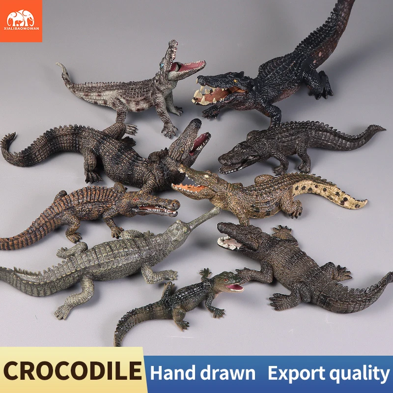 Modelo de Cocodrilo del Nilo, Cocodrilo Imperial, Figura de Animal Salvaje, Figuras de Acción de PVC, Juguete Educativo y Adorable, Regalo para Niños