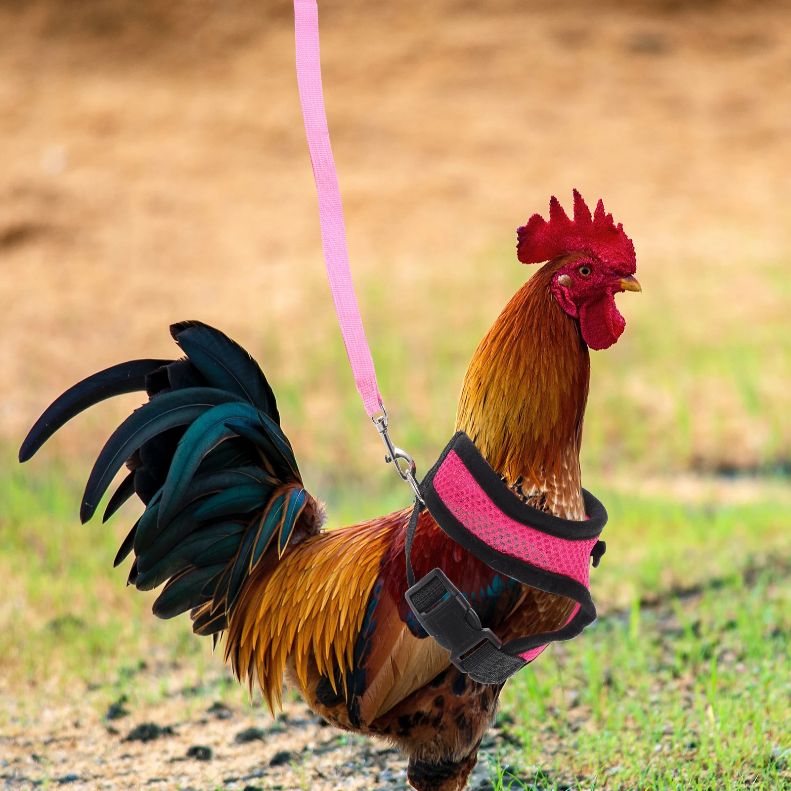 

Chicken Duck Goose Harness Pet Rooster Vest S wich Mesh Training Durable Practical Halloween Christmas Easter Carnivals Dog