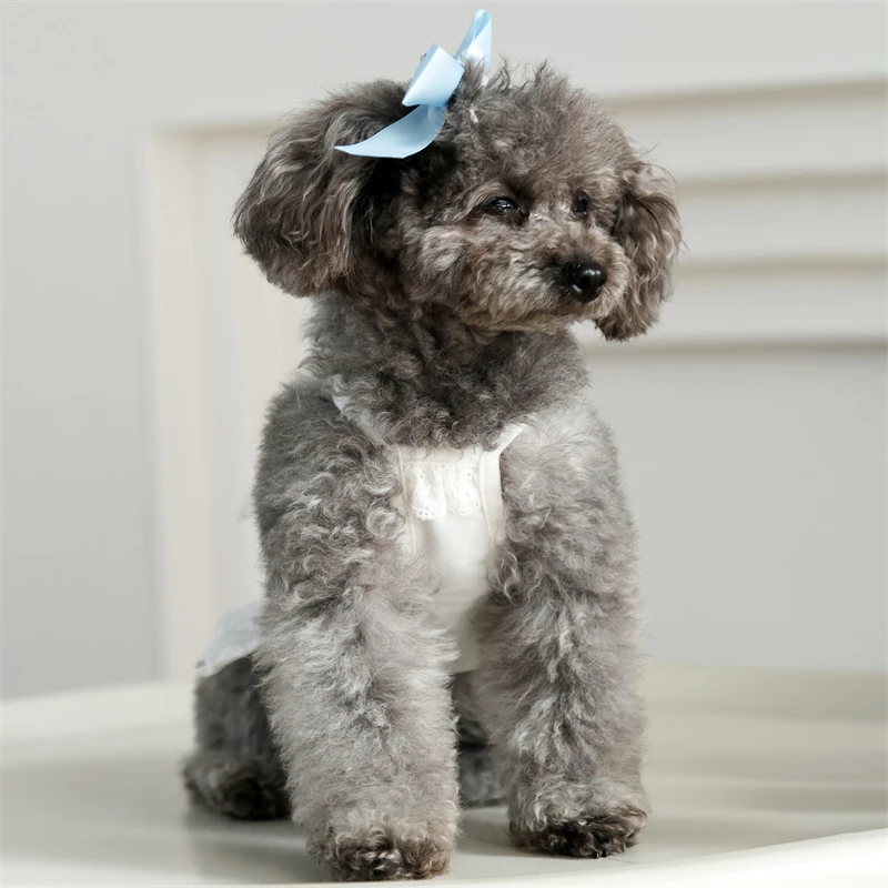 

Новинка 2026: Белое кружевное платье-сарафан с рюшами для собак, наряды для щенков, размеры XS-XL, одежда для маленьких, средних и крупных собак