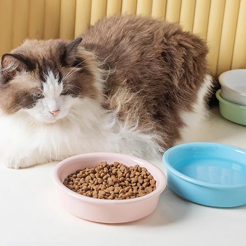 Cuenco de comida para gatos, cuencos de alimentación lenta para perros y gatos pequeños, alimentadores antiasfixia para comer mascotas, cuenco con ventosa antideslizante, suministros para mascotas