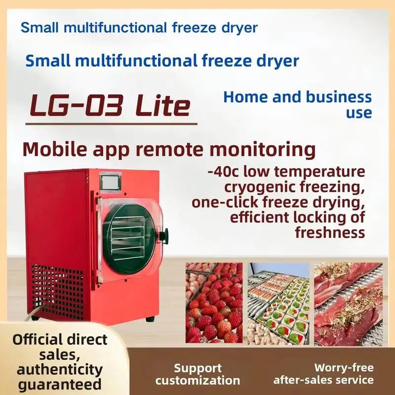 Industrial Brand Freeze Dryer Machine SUS304 Material Customized Vacuum Commercial Use for Frozen Food