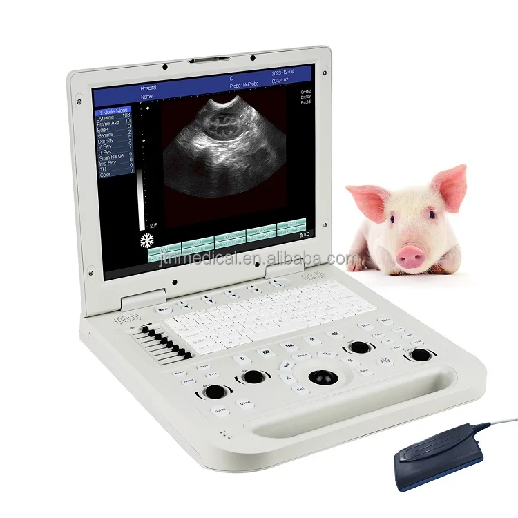 

Factory!Full Digital Cheapest Laptop Veterinary Ultrasound Portable Laptop Vet Ultrasound Scanner Equipment For Pet Animal
