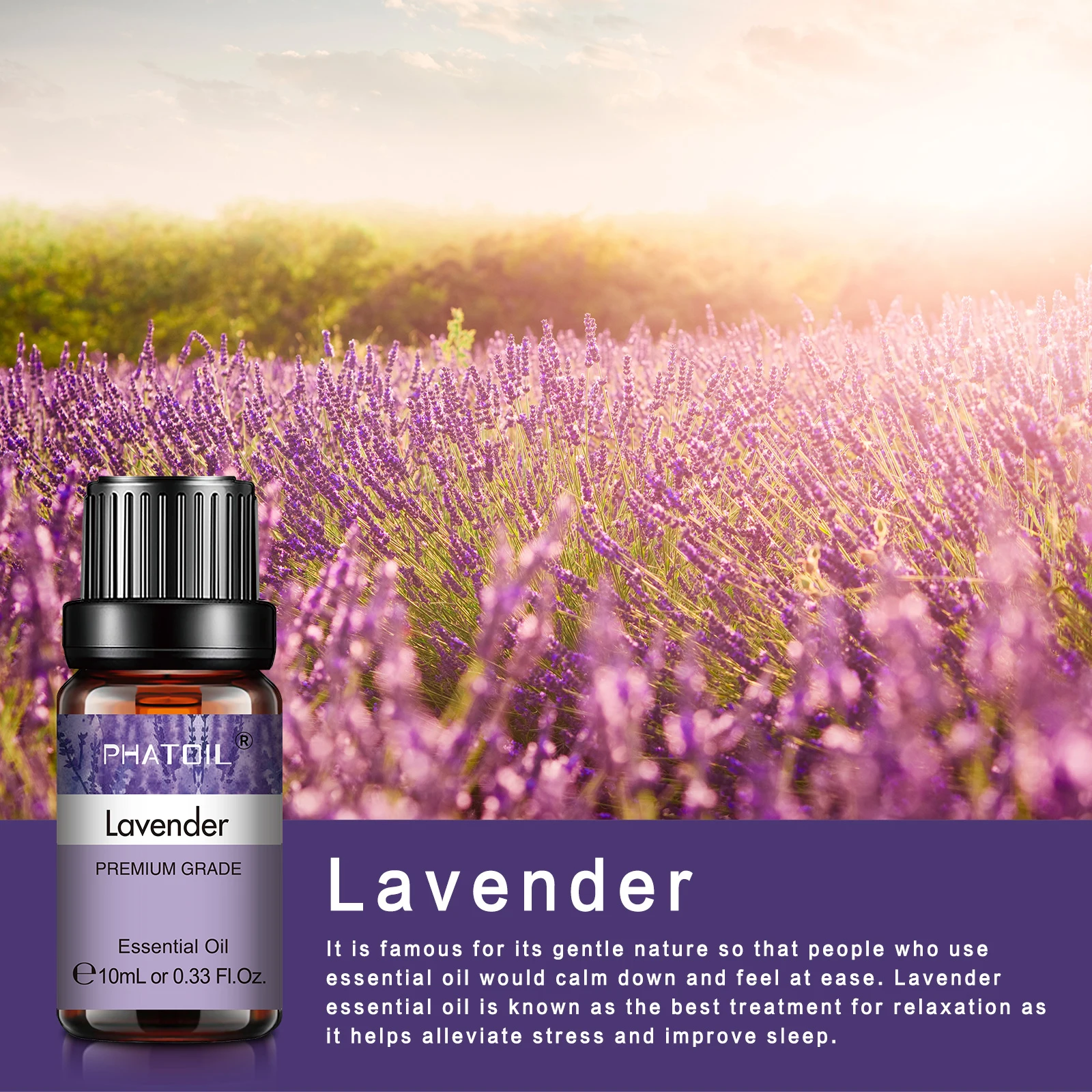 PHATOIL Ätherische Öle Set für Diffusor – 10 ml ätherische Öle aus Lavendel, Eukalyptus, Bergamotte, Vanille, Sandelholz, Teebaum, 1/6/10 Stück – Detail 10