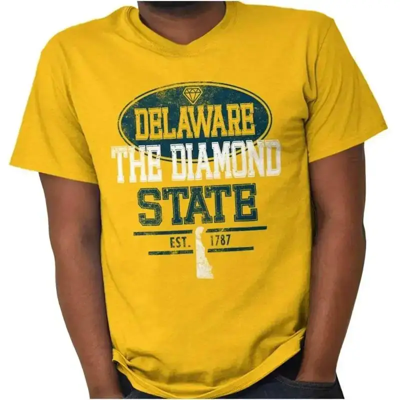 Delaware Diamond State Hometown Gift Womens or Mens Crewneck T Shirt Tee