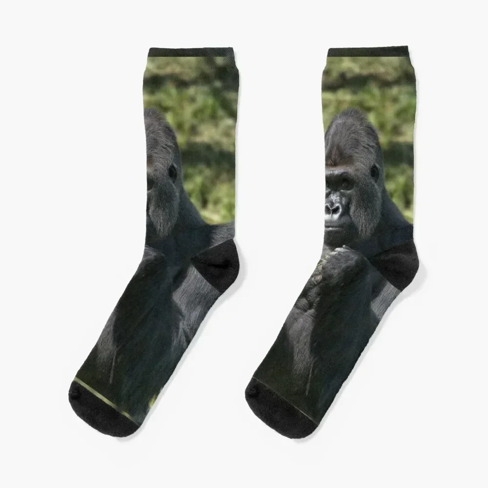 Silverback Gorilla Portrait Socks football sports and leisure kawaii sports stockings Male Socks Women's
