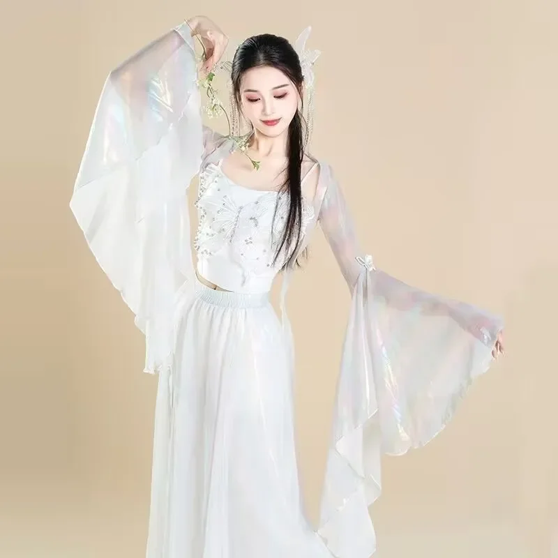 Trajes de actuación de bailarina clásica china, pantalones de gasa de mariposa, ropa de práctica, rima corporal, vestido de baile de estilo chino